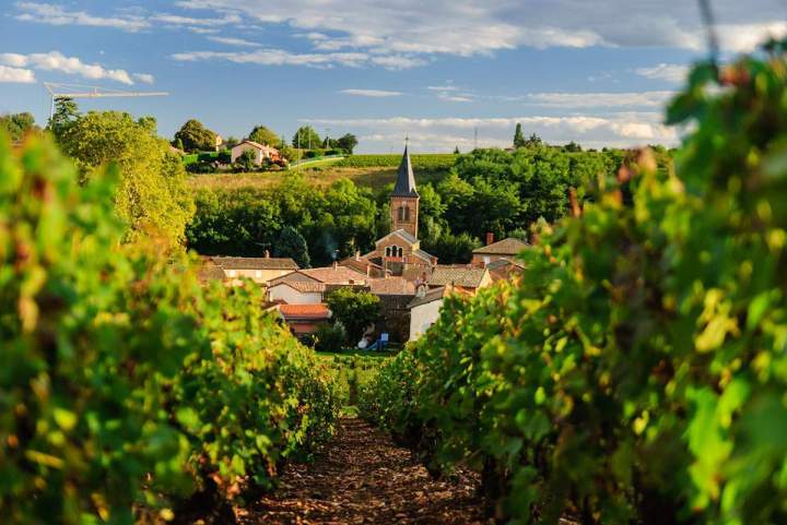 Tour des vignobles français
